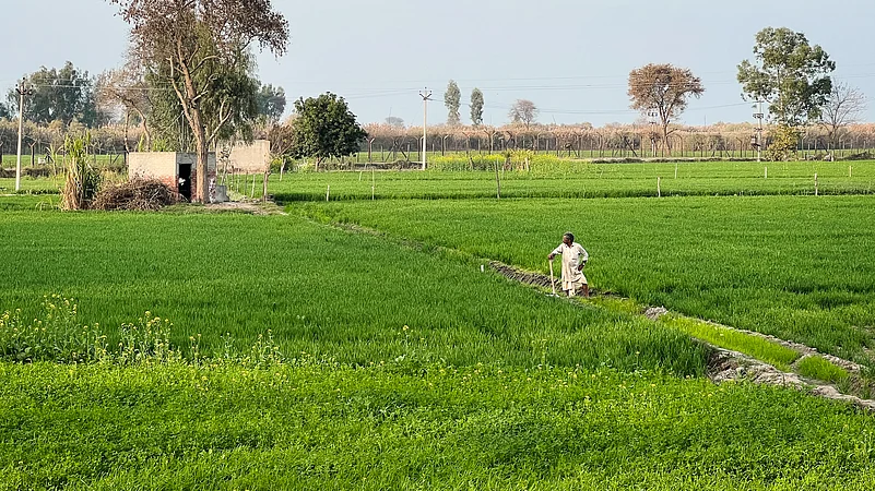The last farm of India